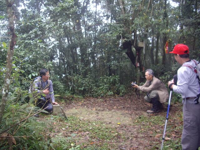 網子山、鳴海下山、鳴海山