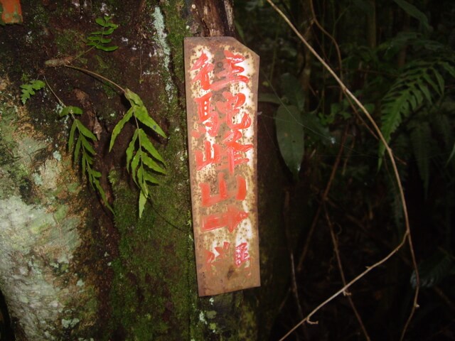 網子山、鳴海下山、鳴海山