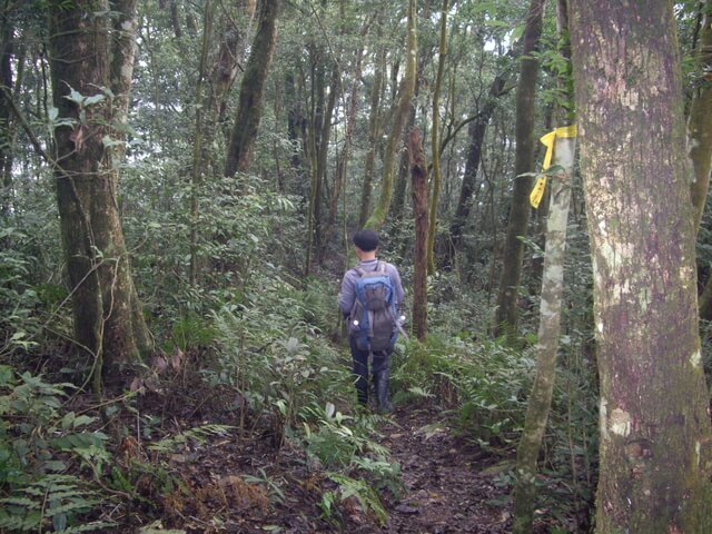 網子山、鳴海下山、鳴海山