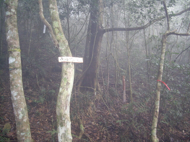 網子山、鳴海下山、鳴海山