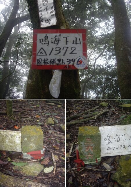 網子山、鳴海下山、鳴海山