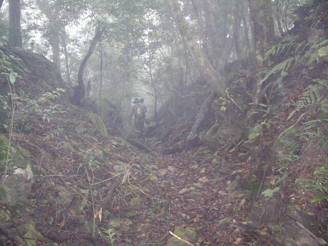 網子山、鳴海下山、鳴海山