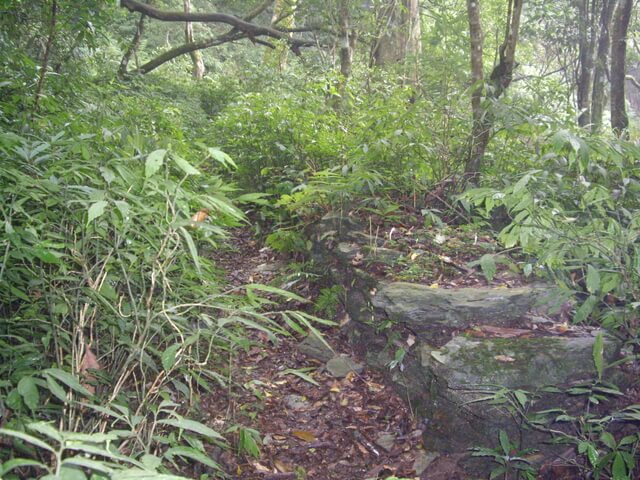 網子山、鳴海下山、鳴海山