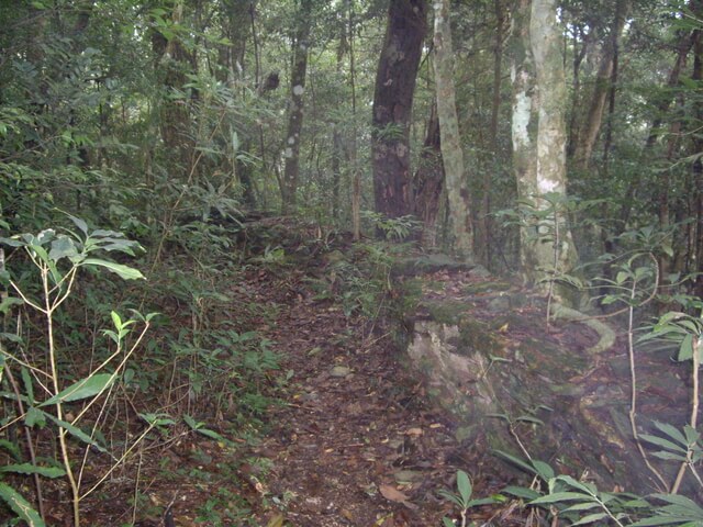 網子山、鳴海下山、鳴海山