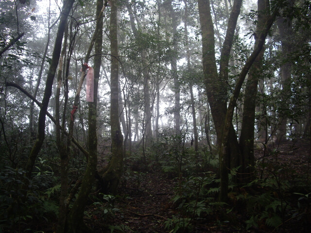 網子山、鳴海下山、鳴海山