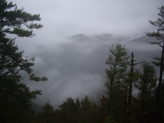 IMGP8727.JPG - 羅葉尾山、馬武佐野郡山(羅馬縱走)