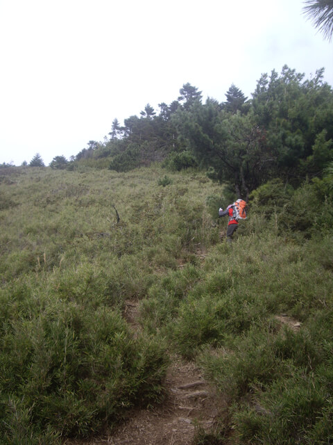 IMGP8655.JPG - 合歡山北峰、合歡山西峰