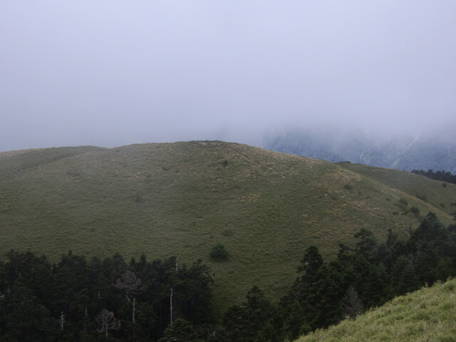 IMGP8672.JPG - 合歡山北峰、合歡山西峰