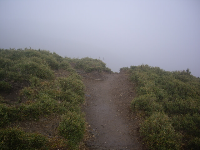 IMGP8702.JPG - 合歡山北峰、合歡山西峰