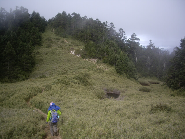 IMGP8658.JPG - 合歡山北峰、合歡山西峰