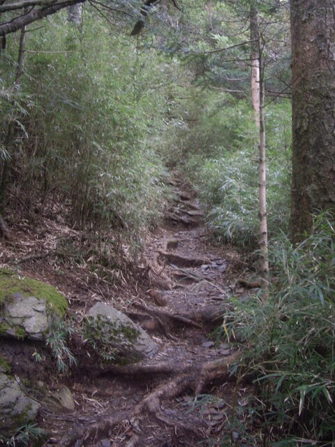 IMGP8691.JPG - 合歡山北峰、合歡山西峰