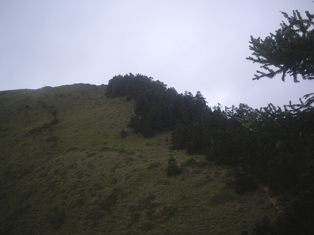 IMGP8665.JPG - 合歡山北峰、合歡山西峰