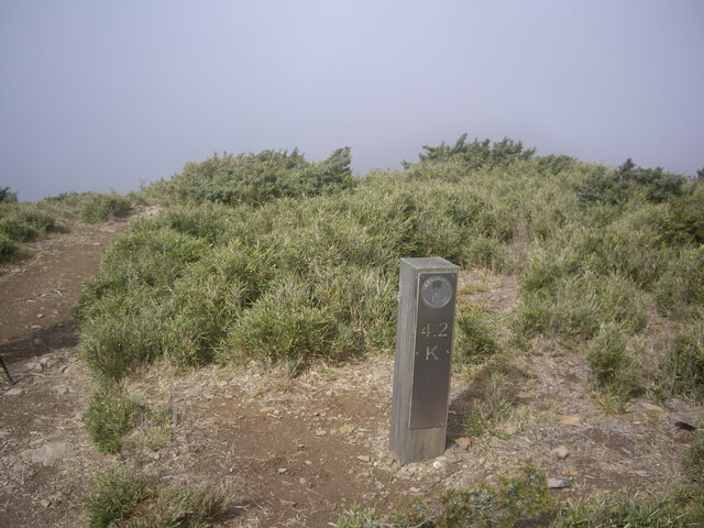 IMGP8657.JPG - 合歡山北峰、合歡山西峰