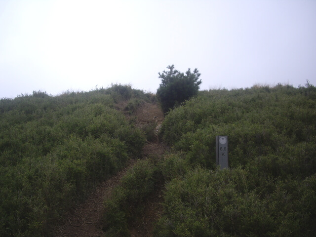 IMGP8675.JPG - 合歡山北峰、合歡山西峰