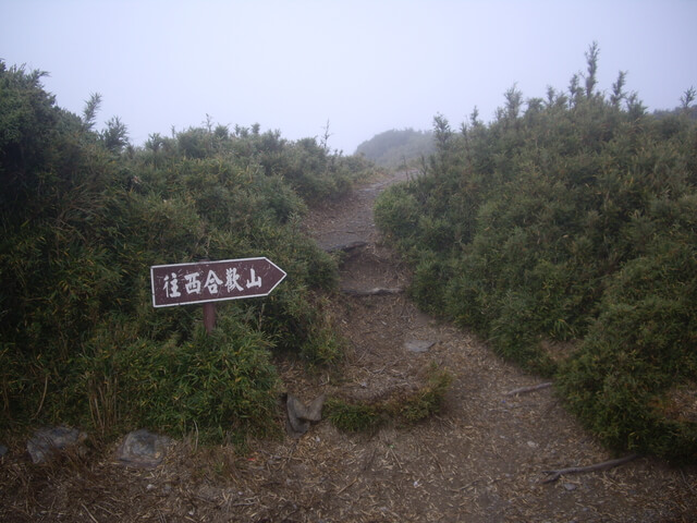 IMGP8636.JPG - 合歡山北峰、合歡山西峰