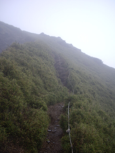 IMGP8701.JPG - 合歡山北峰、合歡山西峰