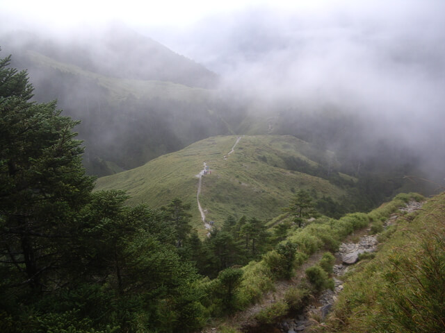 IMGP8579.JPG - 奇萊南華(DAY2－奇萊南峰、南華山)