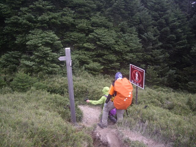 IMGP8601.JPG - 奇萊南華(DAY2－奇萊南峰、南華山)