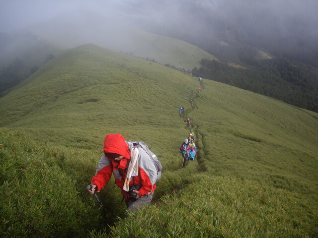 IMGP8593.JPG - 奇萊南華(DAY2－奇萊南峰、南華山)