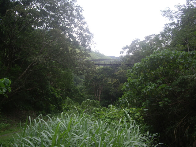 IMGP8284.JPG - 屏東獅仔雙流森林遊樂區瀑布步道