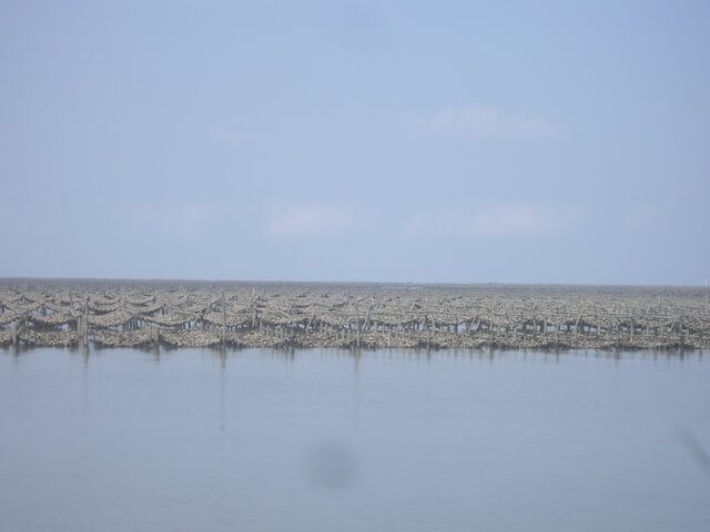 IMGP8192.JPG - 雲林口湖外傘頂洲