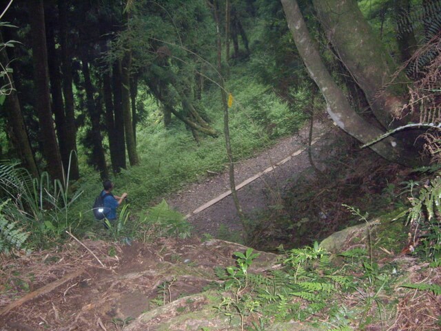 IMGP8181.JPG - 特富野古道、東水山西峰、東水山、自忠山