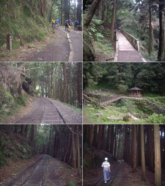 IMGP8117-22.JPG - 特富野古道、東水山西峰、東水山、自忠山