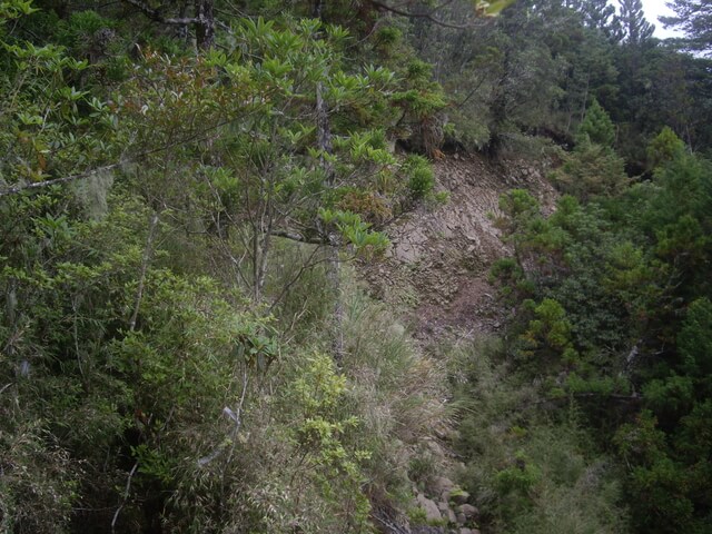 IMGP8151.JPG - 特富野古道、東水山西峰、東水山、自忠山