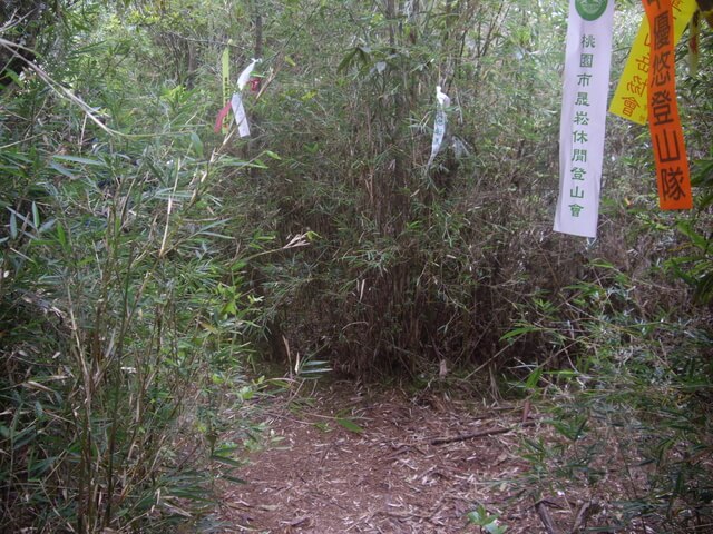 IMGP8159.JPG - 特富野古道、東水山西峰、東水山、自忠山