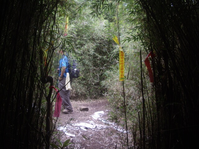 IMGP8156.JPG - 特富野古道、東水山西峰、東水山、自忠山