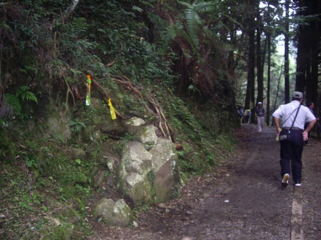 IMGP8116.JPG - 特富野古道、東水山西峰、東水山、自忠山