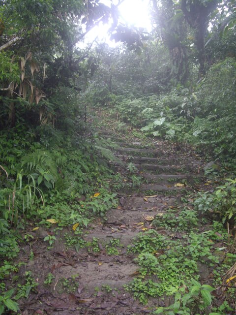 蘇花古道大南澳越嶺段、南澳嶺