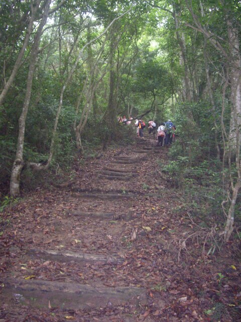 蘇花古道大南澳越嶺段、南澳嶺