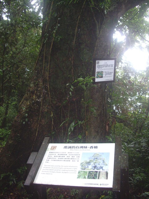 蘇花古道大南澳越嶺段、南澳嶺