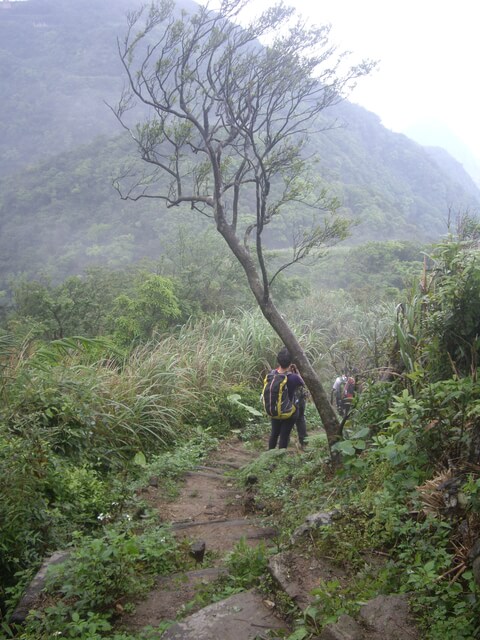 蘇花古道大南澳越嶺段、南澳嶺