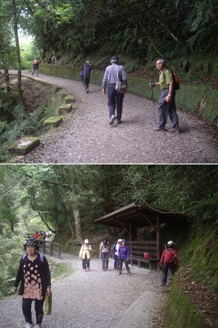 拉拉山自然保護區、塔曼山