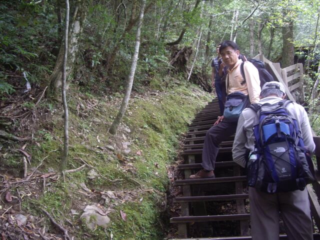 拉拉山自然保護區、塔曼山