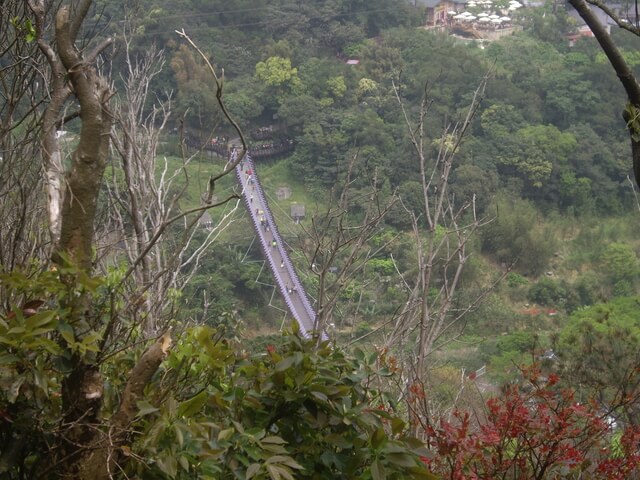 鯉魚山東峰、鯉魚山、忠勇山、圓覺尖