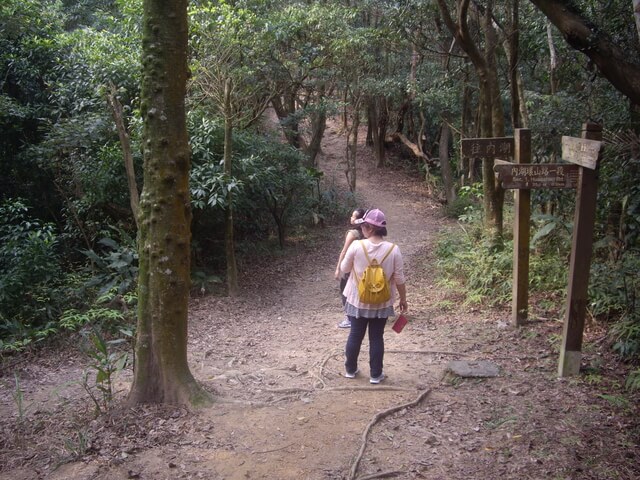 金面山、剪刀石山、西湖山、小金面山