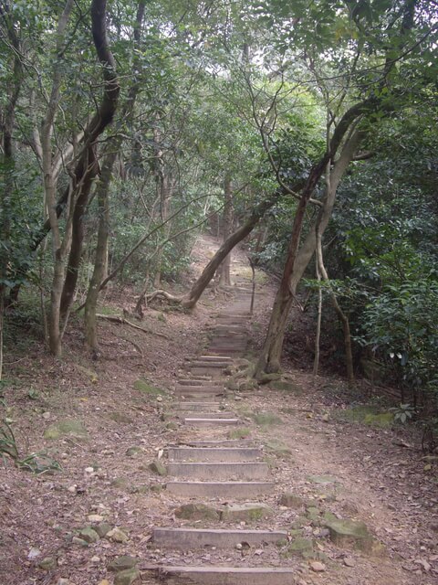 金面山、剪刀石山、西湖山、小金面山