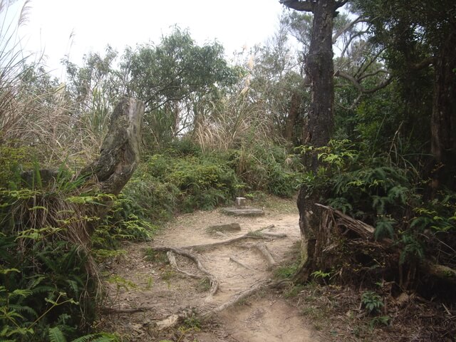 金面山、剪刀石山、西湖山、小金面山