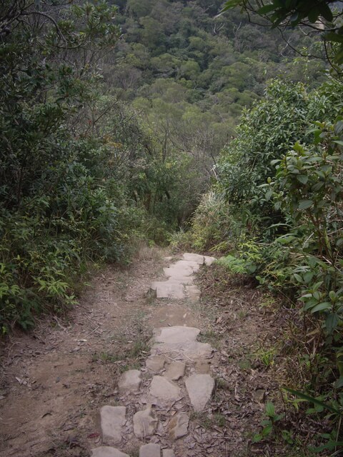 金面山、剪刀石山、西湖山、小金面山