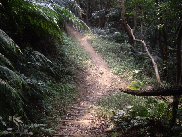 金面山、剪刀石山、西湖山、小金面山