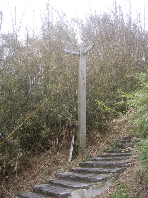 箭竹窩懷祖步道、中坑步道