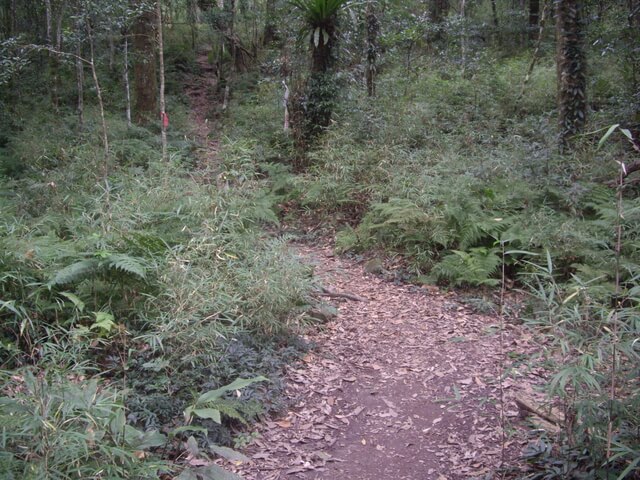 鵝公髻山東北峰、鵝公髻山