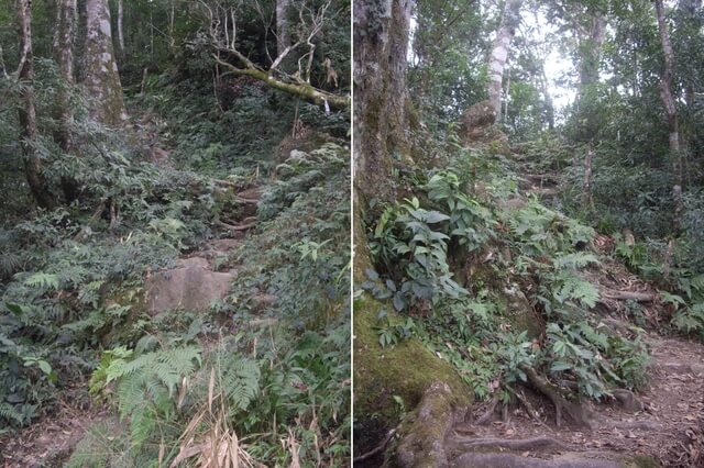 鵝公髻山東北峰、鵝公髻山