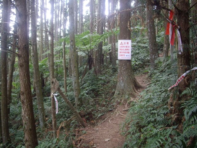 鵝公髻山東北峰、鵝公髻山