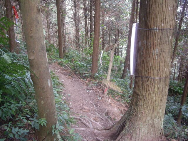 鵝公髻山東北峰、鵝公髻山