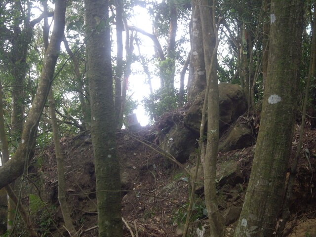 鵝公髻山東北峰、鵝公髻山