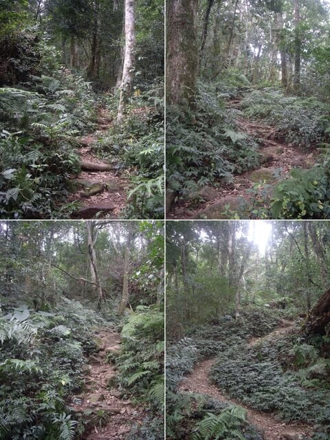 鵝公髻山東北峰、鵝公髻山